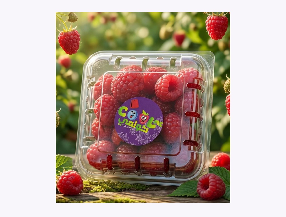 Framboise fraîche COOLME - pot de fruits rouges frais Maroc