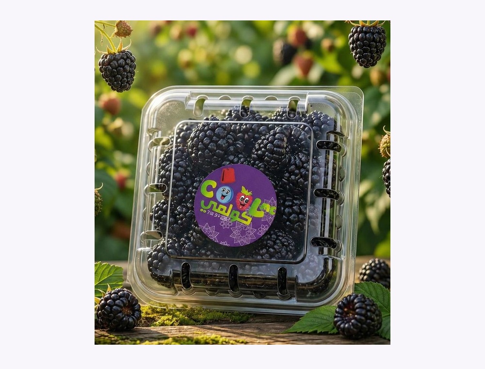 Mûre fraîche COOLME barquette 125g - fruit rouge frais Maroc