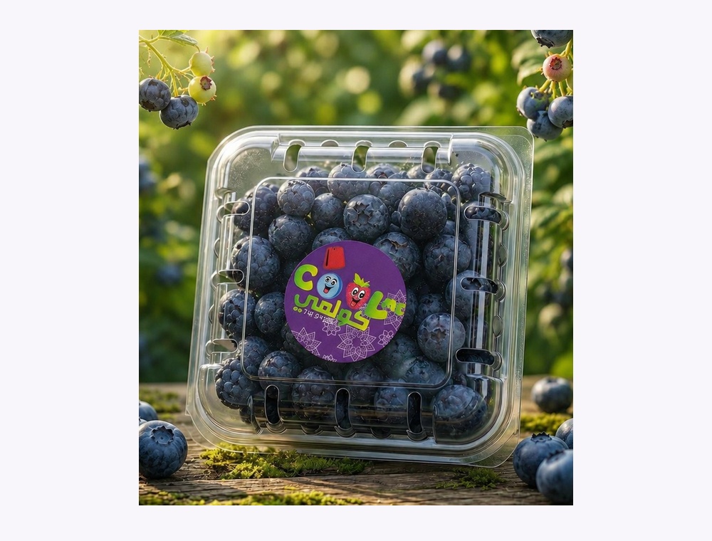Myrtille fraîche COOLME - pot 100g fruit frais Maroc