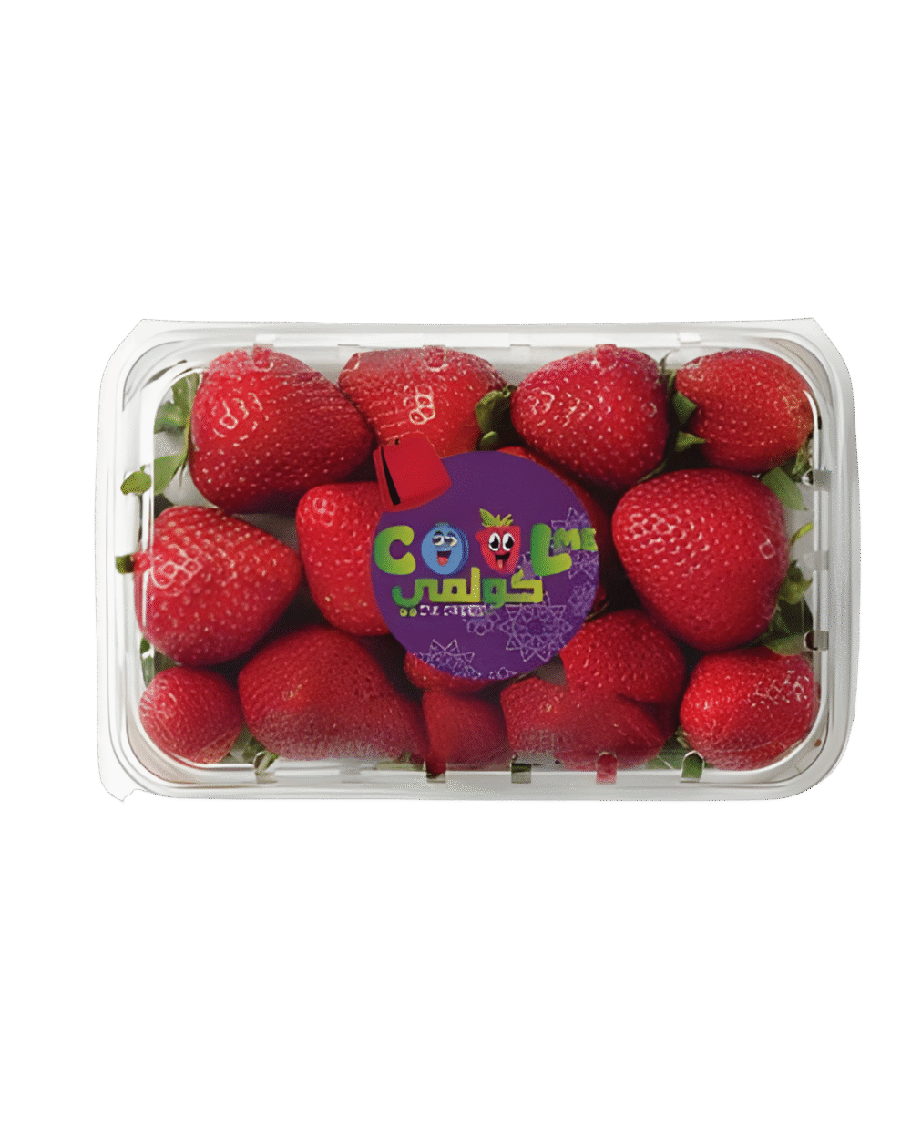 COOLME fresh strawberry punnet - fresh fruit from Larache Morocco